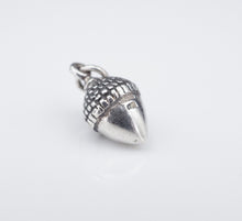 James Avery Acorn Charm 3D Sterling Silver 3/4" Rare Retired Uncut CHS1694