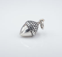 James Avery Acorn Charm 3D Sterling Silver 3/4" Rare Retired Uncut CHS1694